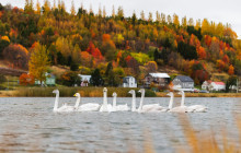 Your Friend in Reykjavik11