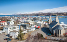 Your Friend in Reykjavik7