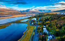 Your Friend in Reykjavik13