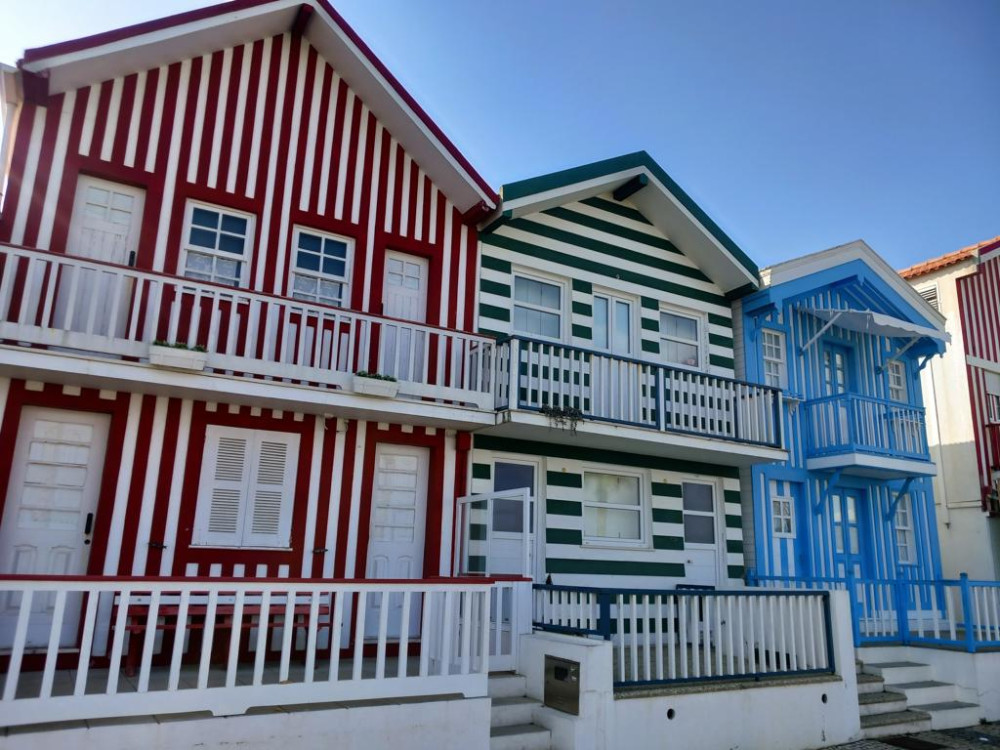 Private One Way Tour Coimbra to Porto, with Buçaco, Aveiro