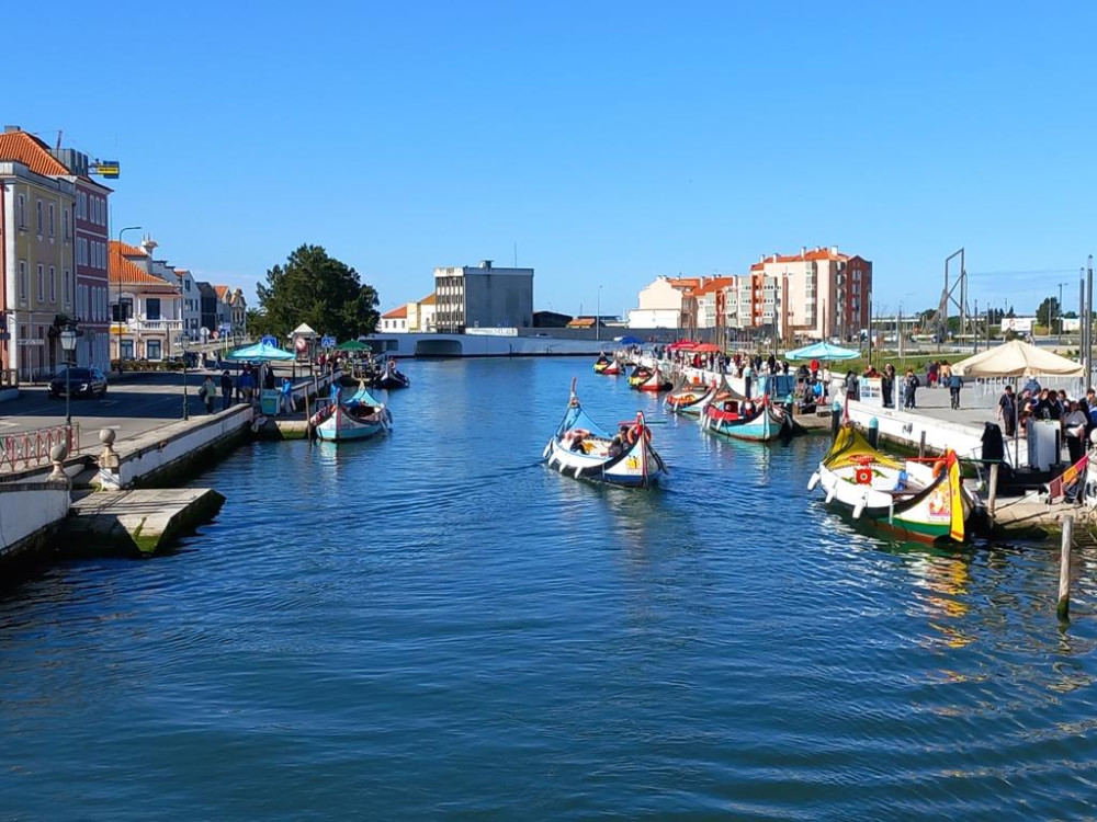Private One Way Tour Porto to Coimbra, with Aveiro, Buçaco