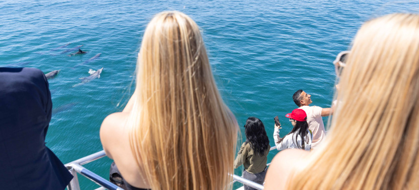 Jervis Bay Day Tour
