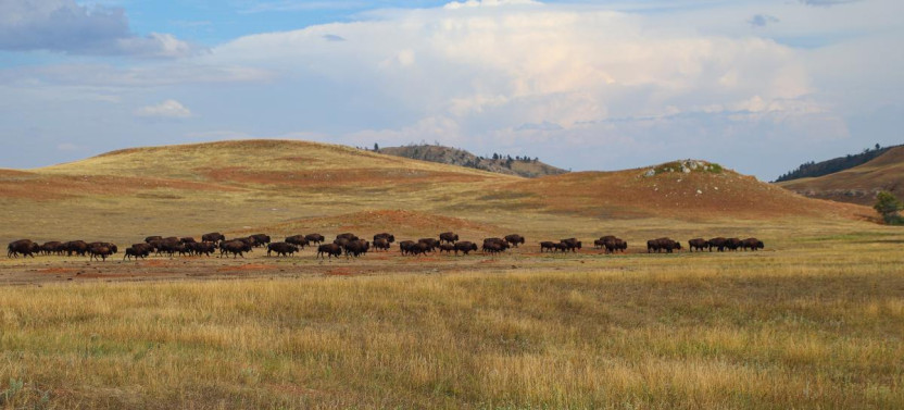 6-Day Adventure Through South Dakota's Black Hills.