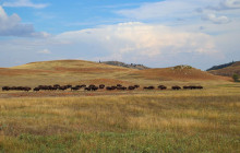 Southwest Adventure Tours2