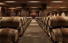 Avalon Travel Services8