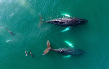 Southwest Adventure Tours7