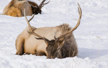 Southwest Adventure Tours4