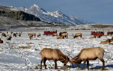 Southwest Adventure Tours1