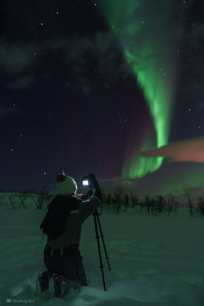Tromsø: Adult Only Aurora Hunt
