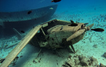 'ATAE Safari Ocean Tahiti20