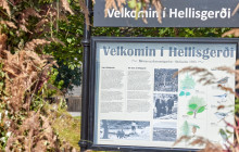 Your Friend in Reykjavik3