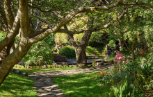 Your Friend in Reykjavik6