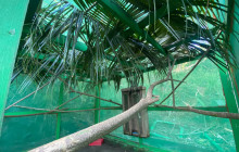Roatan Adventure Tours19