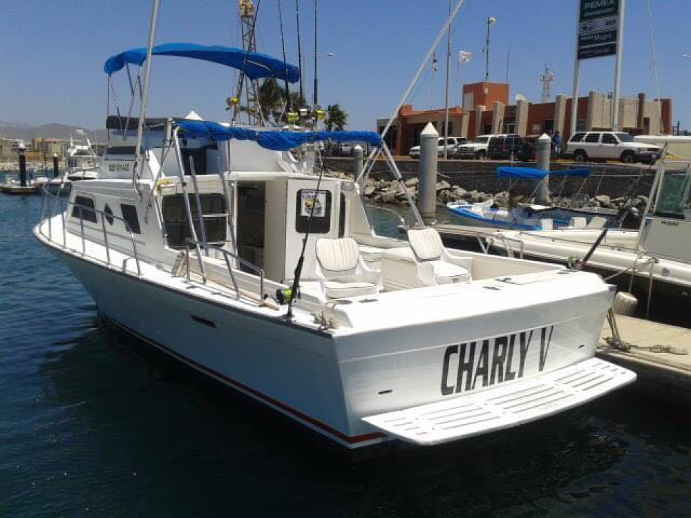 33' Custom Cabin Cruiser Private Charter - 6 Pax