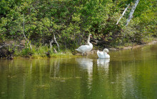 See Sight Tours - Canada5