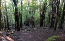 Azimuthfuture unipessoal8