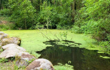 Azimuthfuture unipessoal9