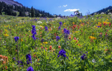 Southwest Adventure Tours2