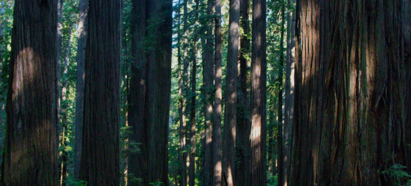 7-Day Adventure Through Southern Oregon