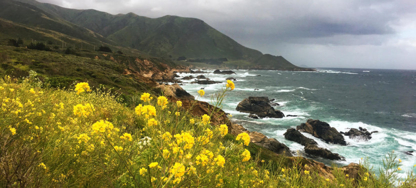 8-Day Adventure: Yosemite, Sequoia & California Coast Explorer