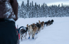 Southwest Adventure Tours6