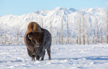 Southwest Adventure Tours9