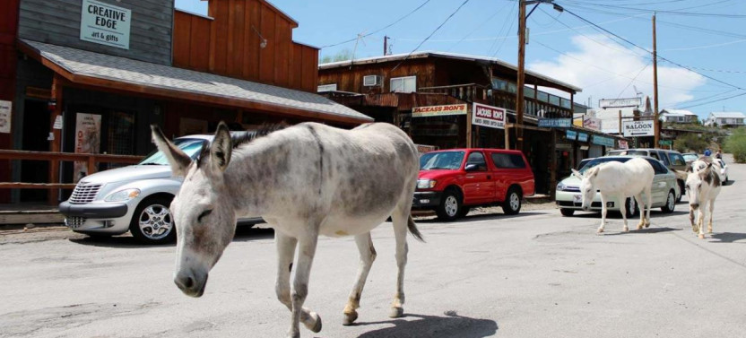 12-Day Westbound Adventure on Route 66