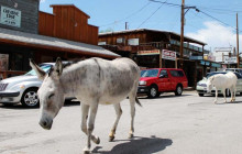 Southwest Adventure Tours3