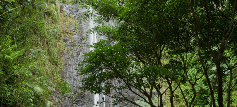 7-Day Active Adventure in Oahu, Hawaii