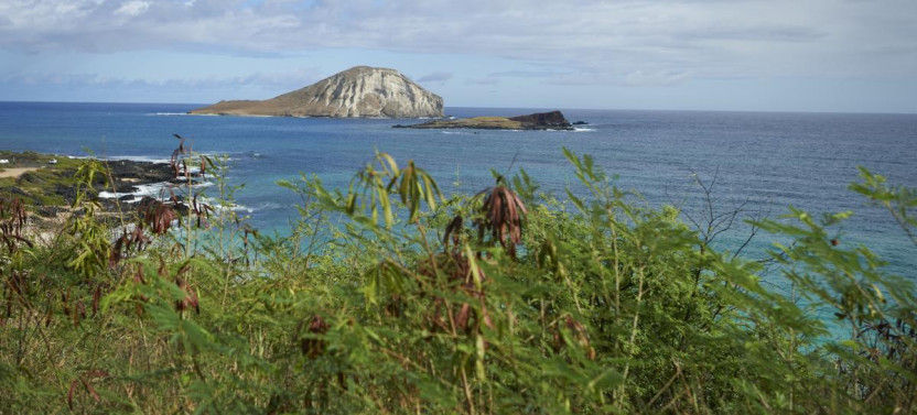 7-Day Active Adventure in Oahu, Hawaii
