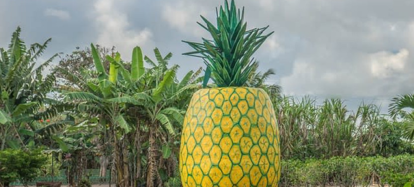7-Day Active Adventure in Oahu, Hawaii