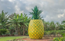 Southwest Adventure Tours4