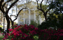 Bonnie Blue Walking Tours of Savannah13