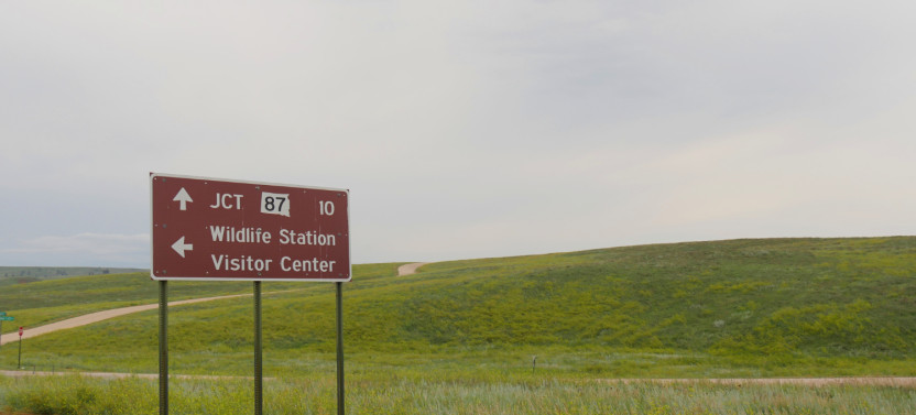 Custer State Park: Self-Guided Drive with Audio Guide