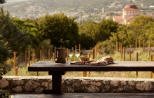 Avalon Travel Services1