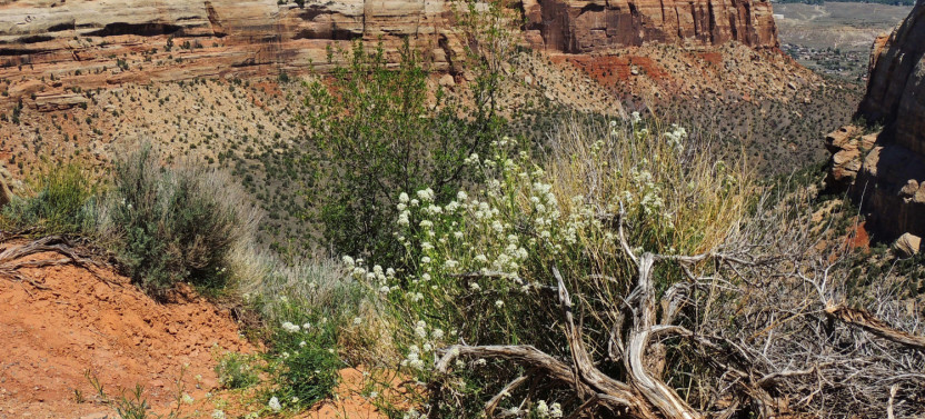 Colorado National Monument Scenic Drive: Self-Guided Audio Tour