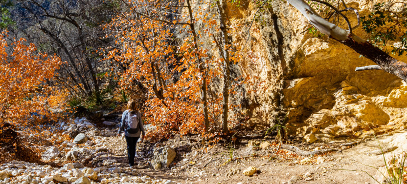 Guadalupe Mountains National Park Scenic Drive: Self-Guided Audio Tour