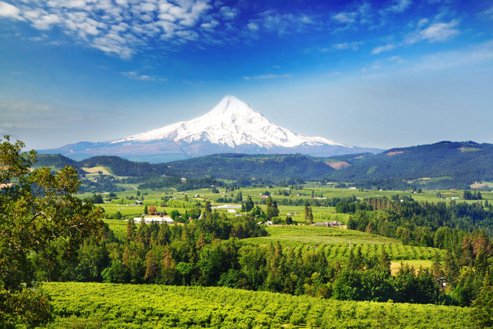 Scenic Mount Hood Loop: Self-Guided Driving Audio Tour
