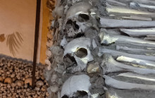 Azimuthfuture unipessoal10