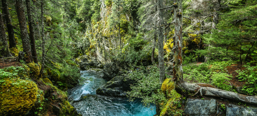 Sterling Highway: Anchorage to Homer Self-Guided Driving Audio Tour