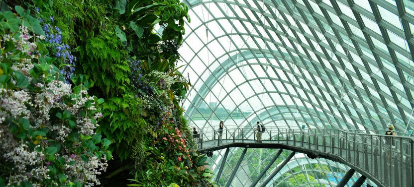 Singapore: Icons of the Lion City with Gardens by the Bay