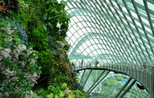 Discova Day Tours and Activities2