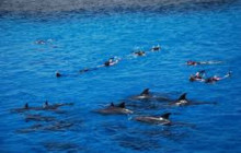 Hurghada Daily Tours3