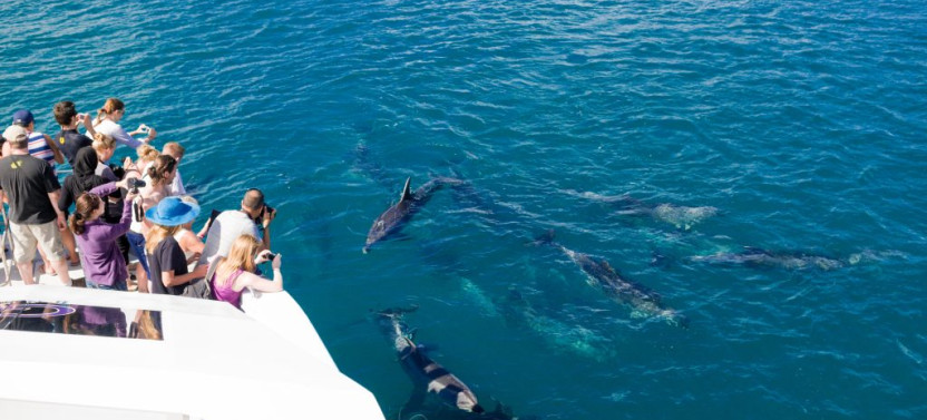 Giftun Island Snorkeling Trip