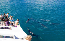 Hurghada Daily Tours2