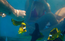 Hurghada Daily Tours4