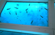 Hurghada Daily Tours4