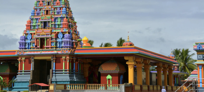 Nadi Cultural and City Tour with Orchid Garden and Village Visit