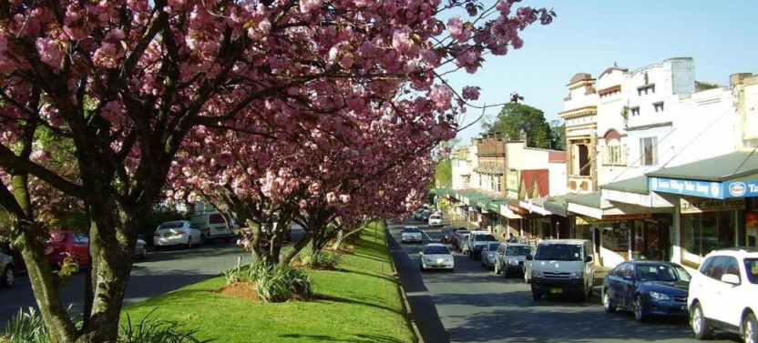 Half Day Blue Mountains Tour