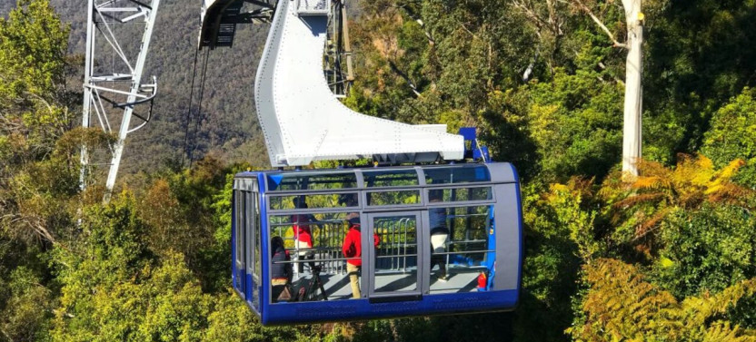 Half Day Blue Mountains Tour